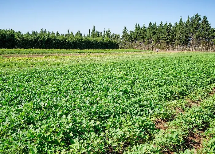 Agriturismo Malapezza 팜스테이