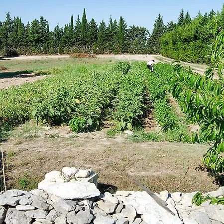 Gospodarstwo agroturystyczne Agriturismo Malapezza *