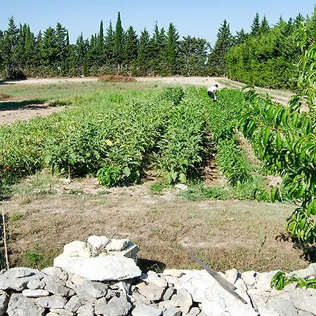 مزرعة للإقامة Agriturismo Malapezza *