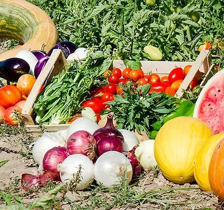 Gospodarstwo agroturystyczne Agriturismo Malapezza *