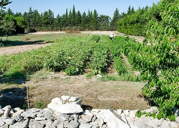 Feriegård Agriturismo Malapezza *